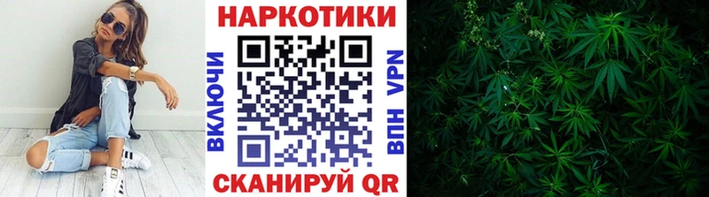 Купить закладку Аркадак НБОМе  kraken ТОР  Alpha PVP  Каннабис 