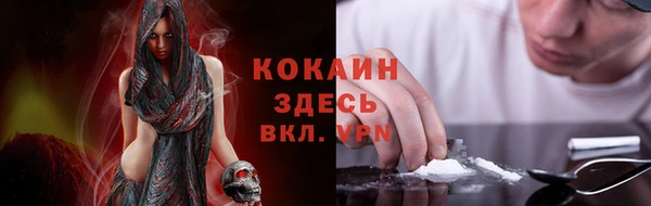 винт Арсеньев