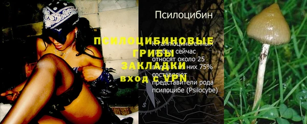 винт Арсеньев